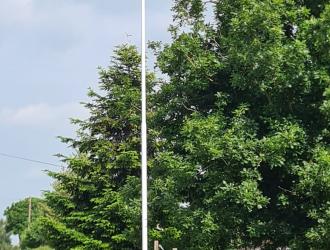 D Day 80 Hulver Street