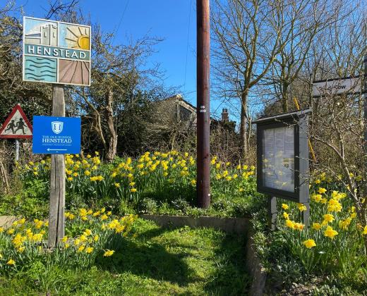 link to Parish Council